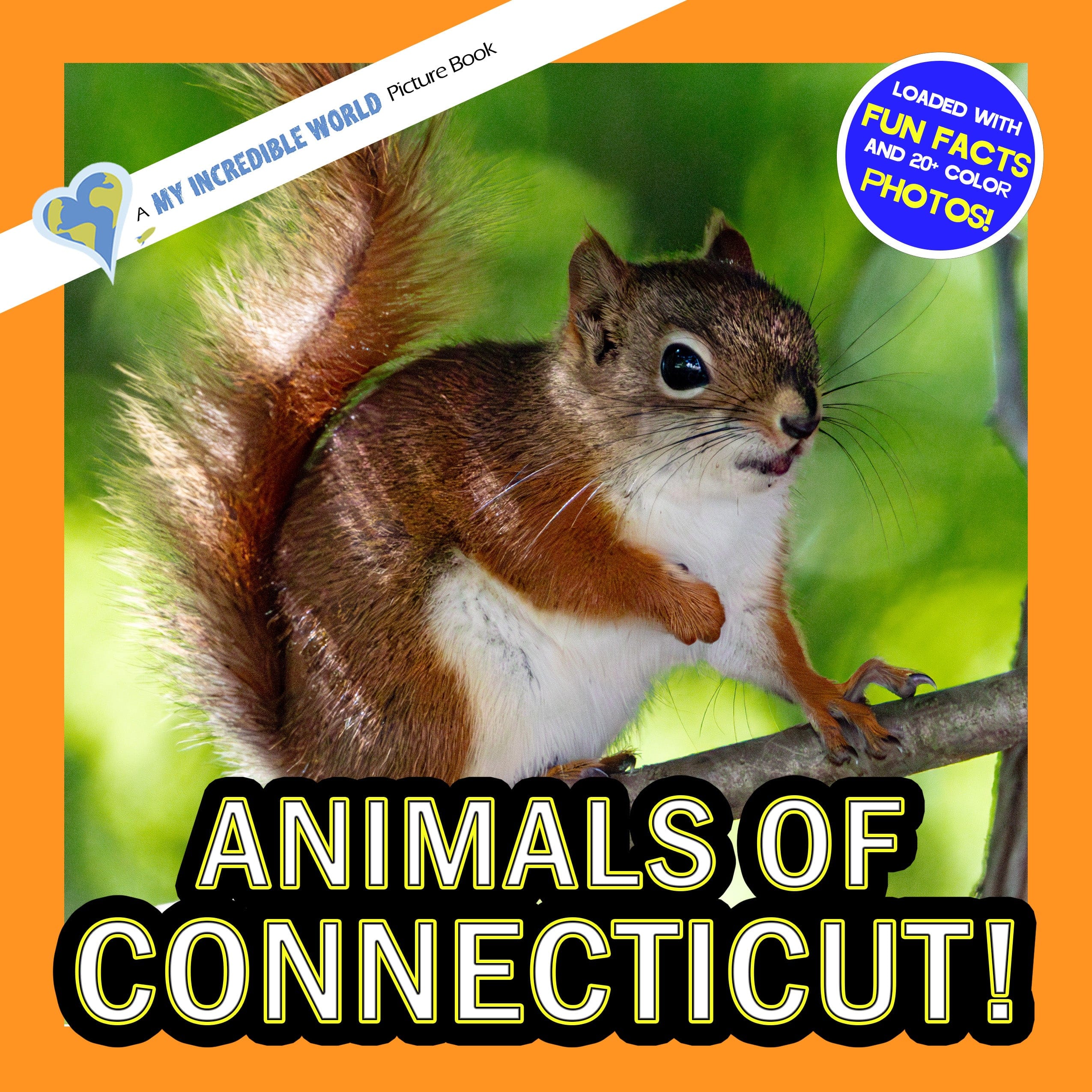 Animals of Connecticut! A My Incredible World Picture Book for Children